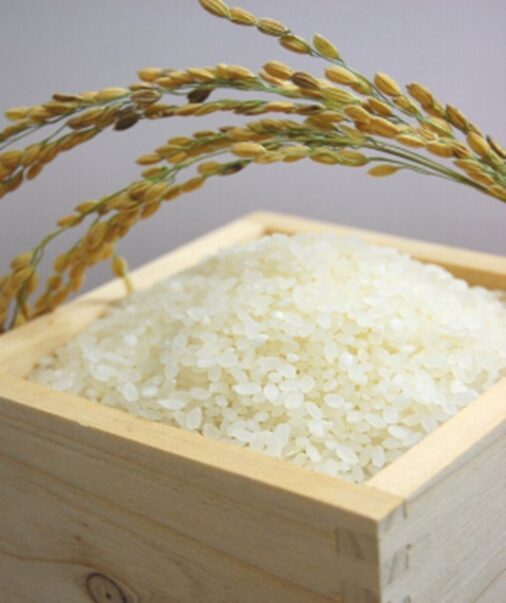 炊き立てご飯「食欲の秋」
